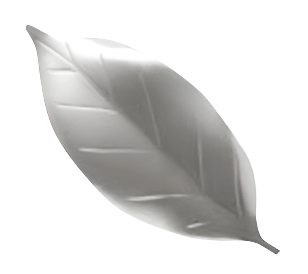 Suport pentru Betisoare, Otel Inoxidabil, Design Camellia Japonica, Argintiu, 75x32mm