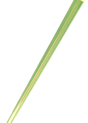 Betisoare Japoneze, Design Bambus, 22.5cm