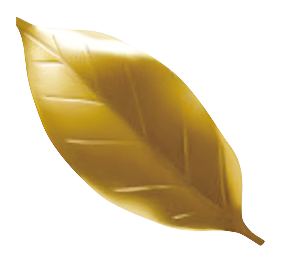 Suport pentru Betisoare, Otel Inoxidabil, Design Camellia Japonica, Auriu, 75x32mm