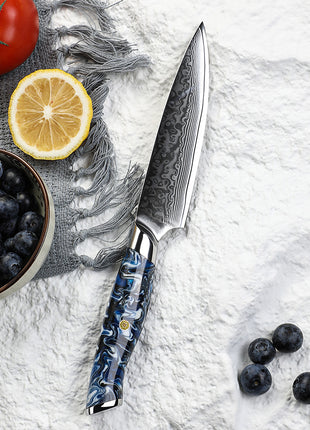 Set de 5 Cutite Premium Damascus cu Manere Pacific Edge