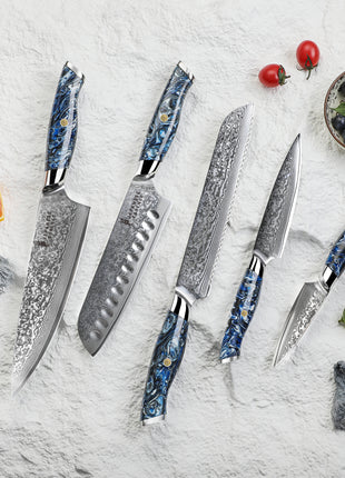 Set de 5 Cutite Premium Damascus cu Manere Pacific Edge