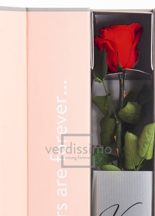 V-Rose Private Selection Red, Trandafir Natural Conservat