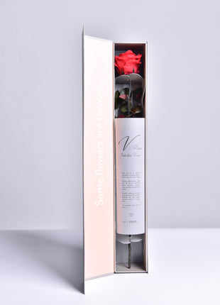 V-Rose Private Selection Red, Trandafir Natural Conservat