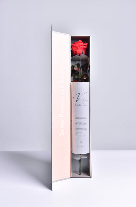V-Rose Private Selection Red, Trandafir Natural Conservat